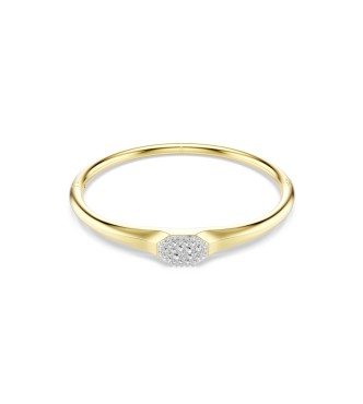 DEXTERA:BANGLE TAG CRE/GOS S