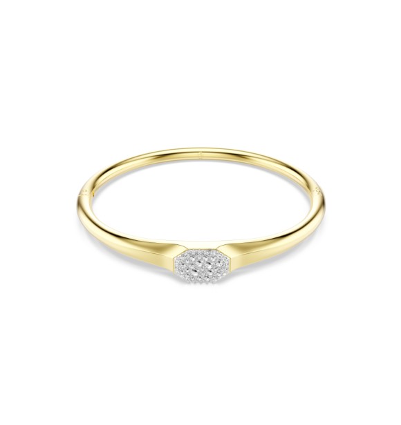 DEXTERA:BANGLE TAG CRE/GOS S