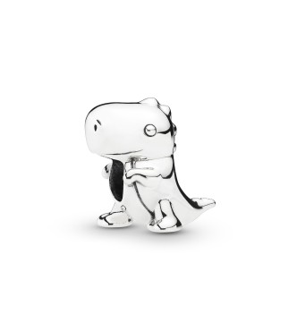 Dinosaur silver charm