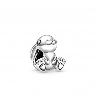 PANDORA  Charm 798763C00 Sterling silver Moments (charm concept)